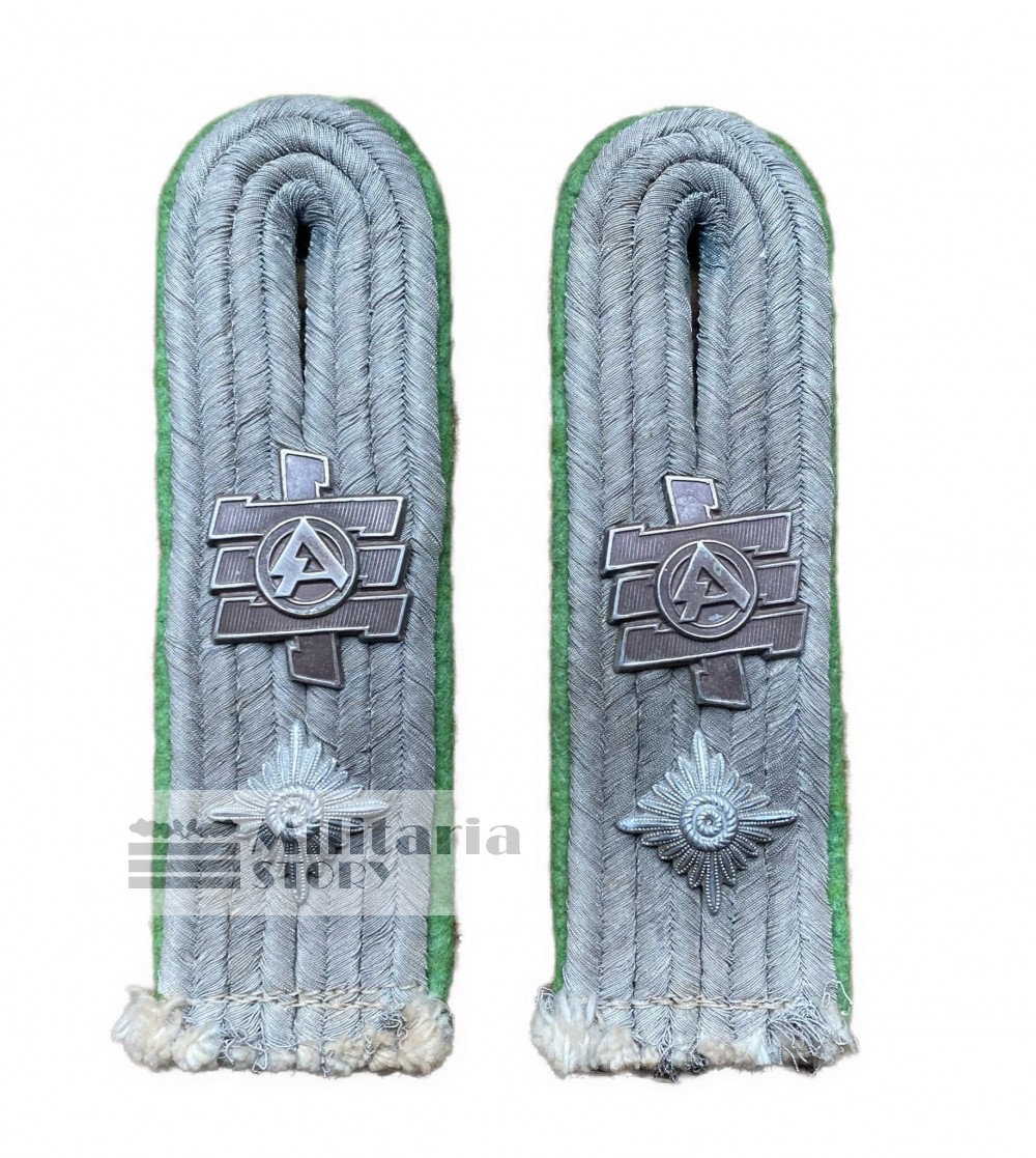 Heer Panzergrenadier Officer Feldherrnhalle boards - Heer Panzergrenadier Officer Feldherrnhalle boards: Vintage German Insignia