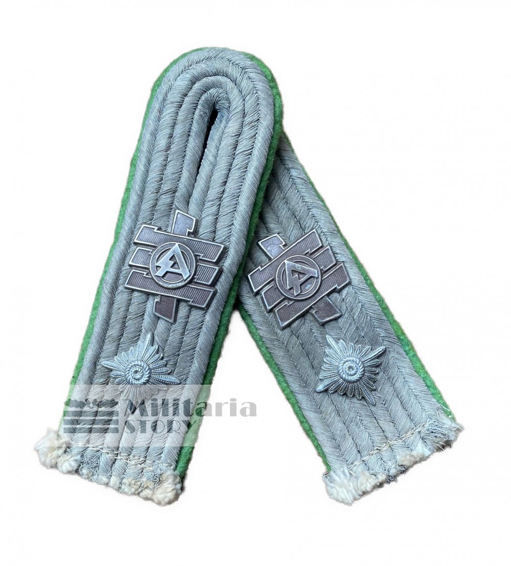 Heer Panzergrenadier Officer Feldherrnhalle boards - Heer Panzergrenadier Officer Feldherrnhalle boards: pre-war German Insignia