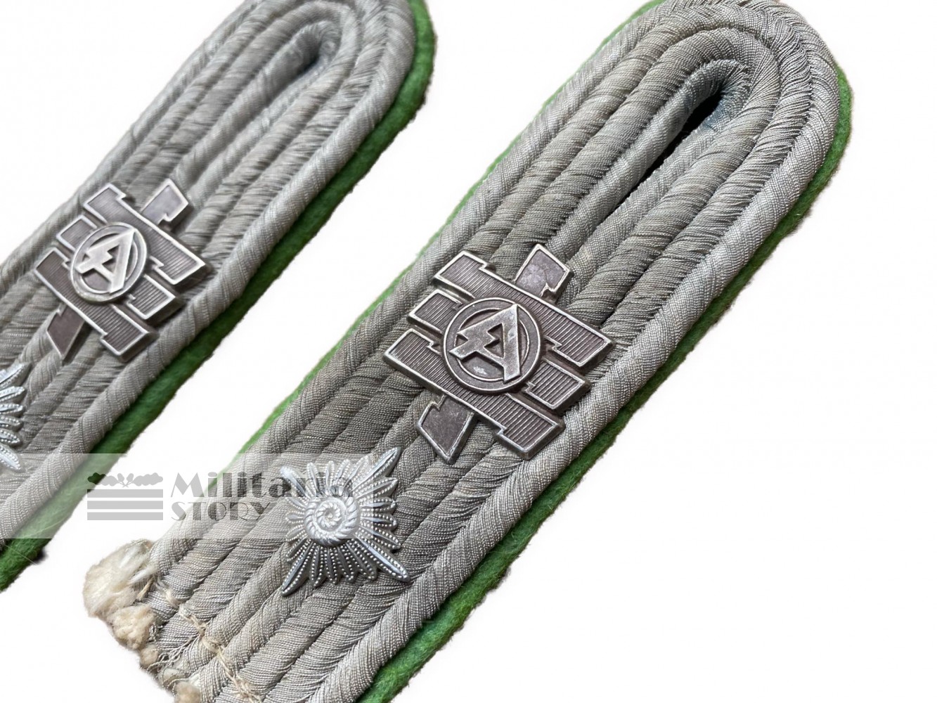 Heer Panzergrenadier Officer Feldherrnhalle boards - Heer Panzergrenadier Officer Feldherrnhalle boards: Vintage German Insignia