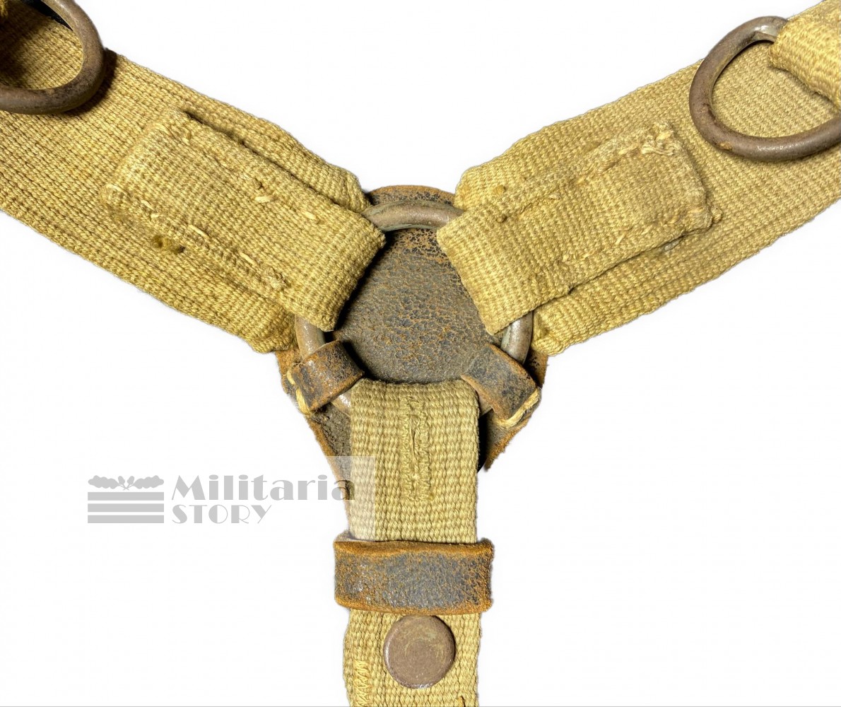 Tropical canvas Y straps  - Tropical canvas Y straps : German Equipment