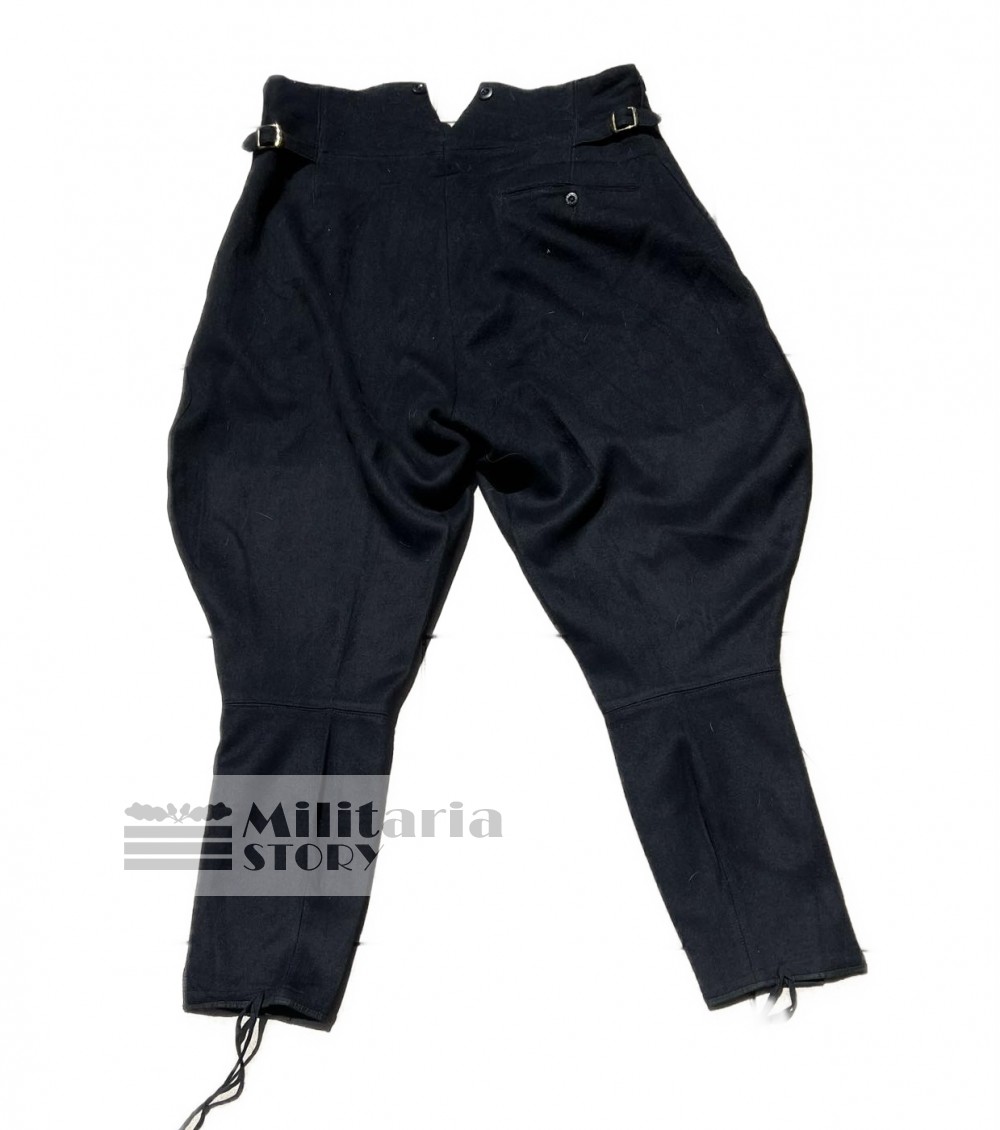 Allgemeine SS Trousers - Allgemeine SS Trousers: WW2 German Uniforms