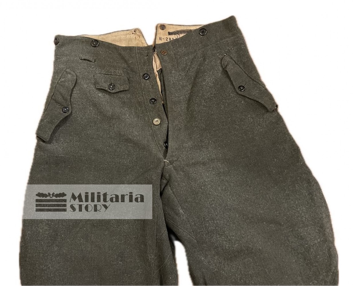 Heer  Mountain Troops Gebisjager trousers