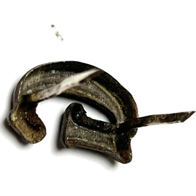 Waffen-SS Sturmbannführer officer ‘Germania ’ shoulder board